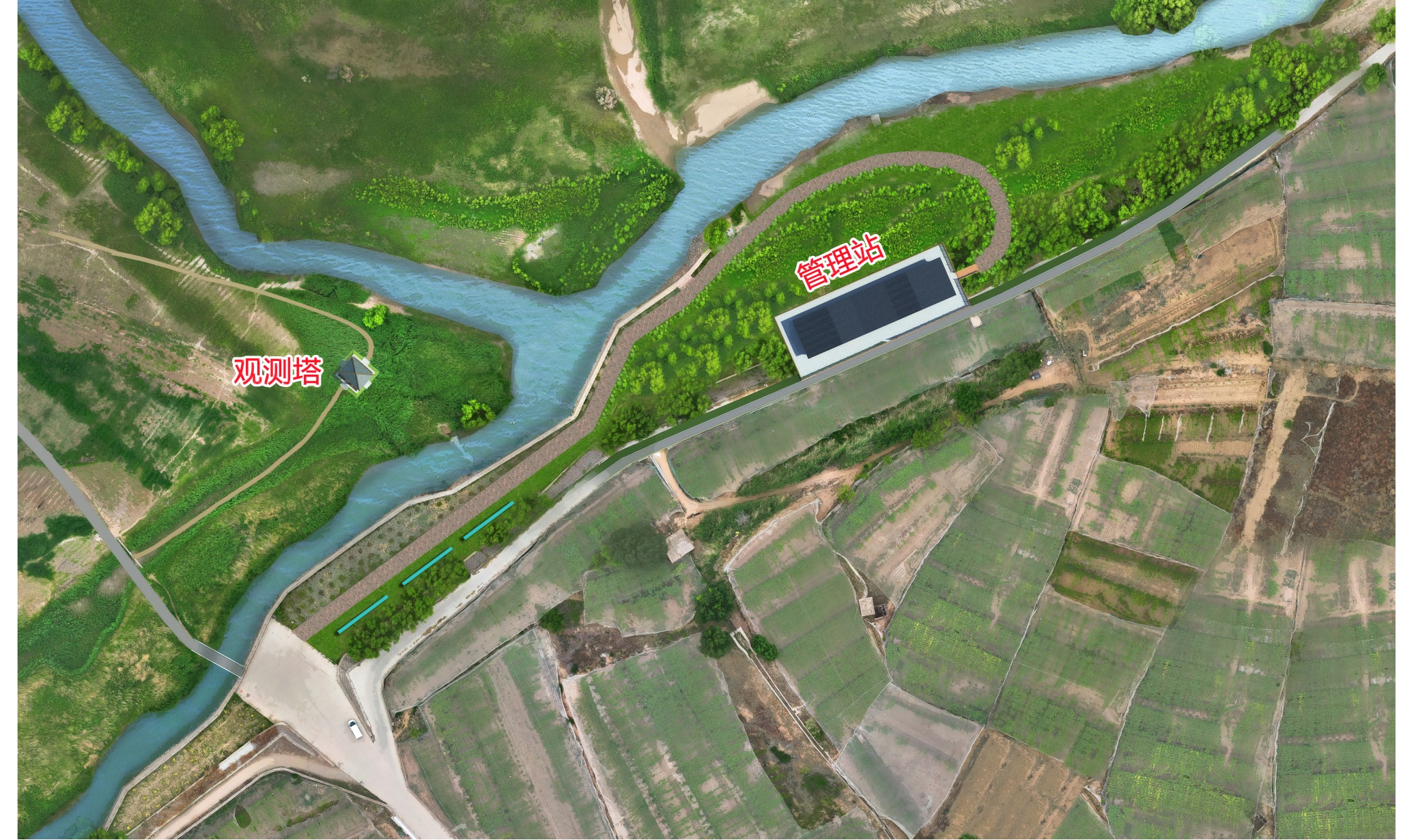 优化规划 创新行动 将桑洋湿地建设成为示范性工程