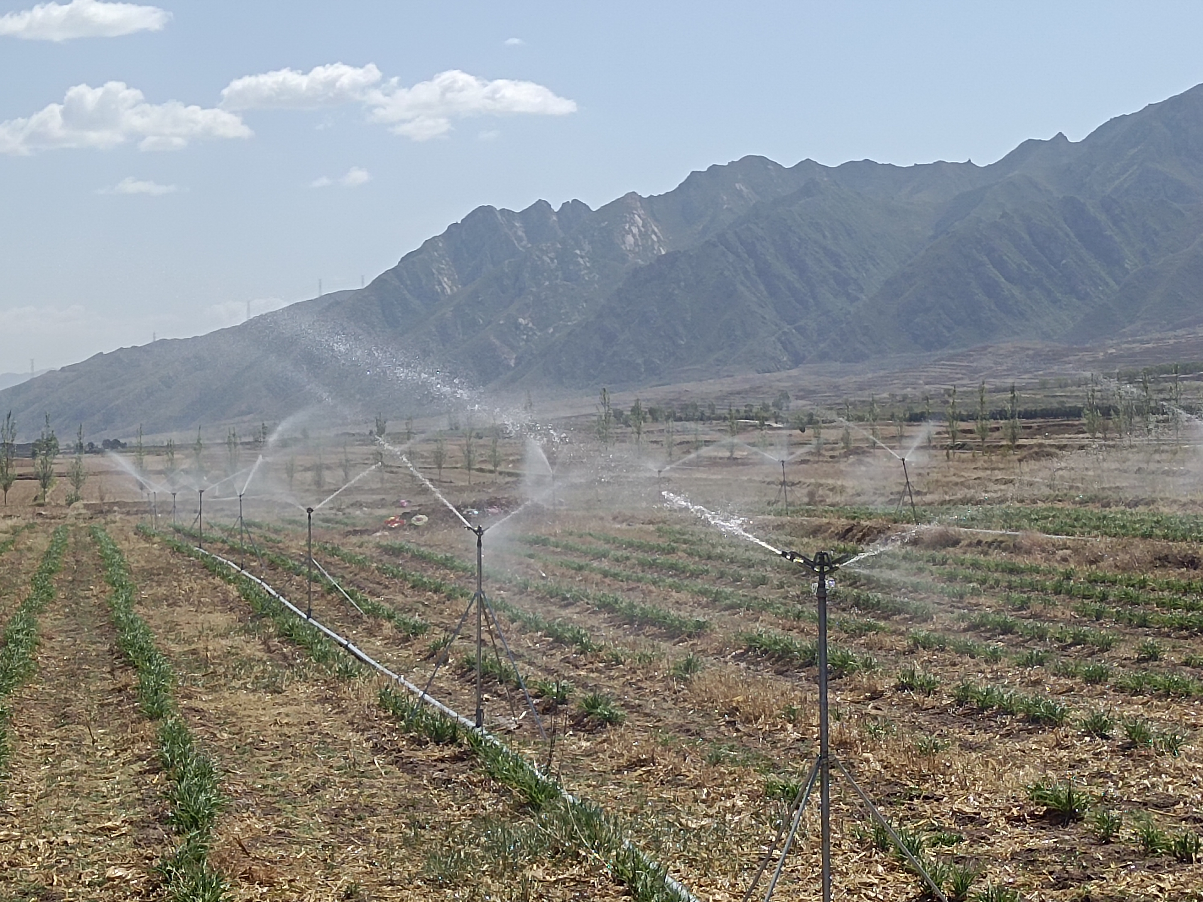 包头分公司 | 阳高县古城镇、鳌石乡等片区农牧交错带高效节水灌溉工程通过竣工验收