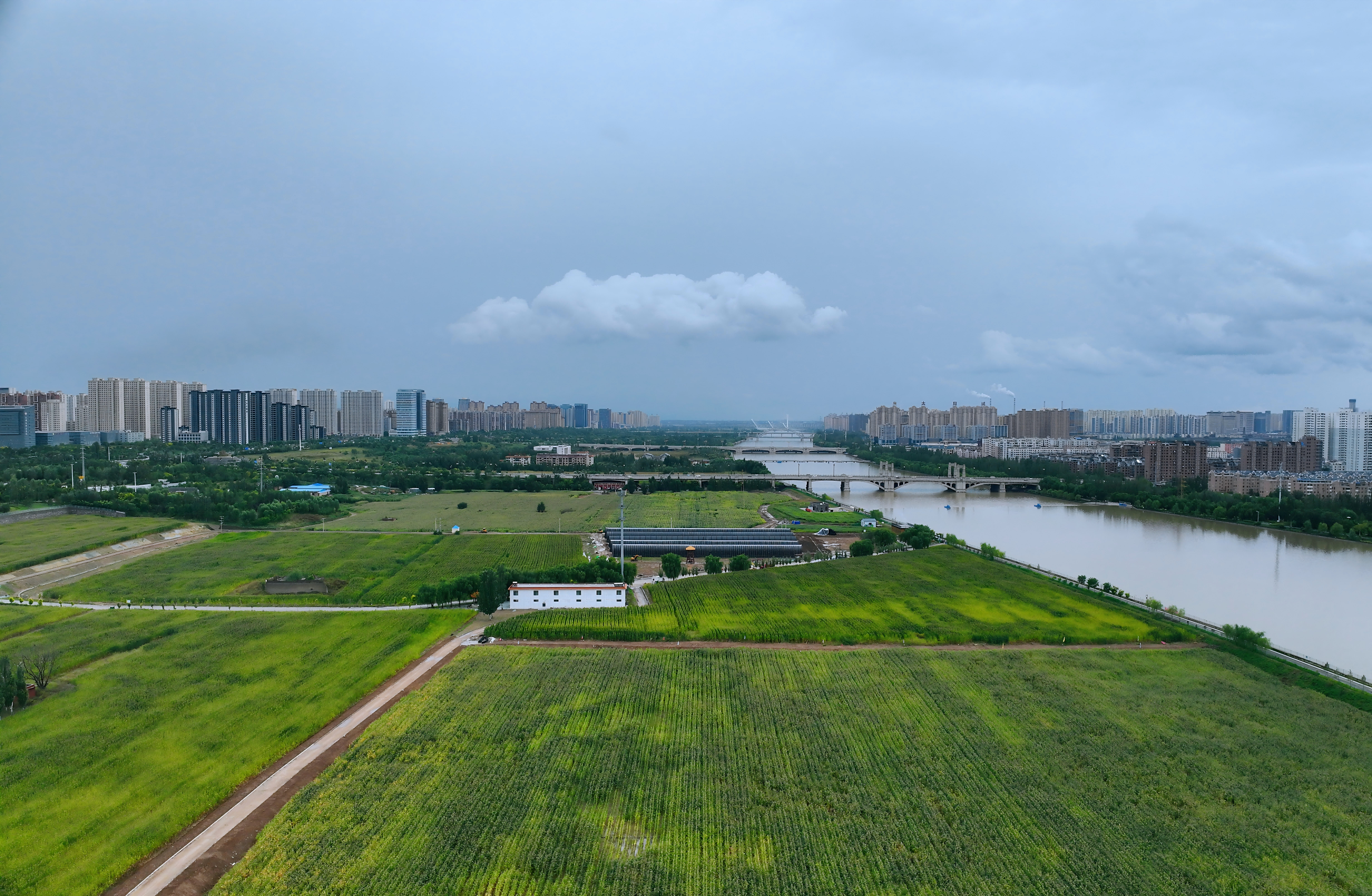 科技添彩生态田 麻将胡了2畔庆丰登——永定三生·农谷绘就秋分丰登图景