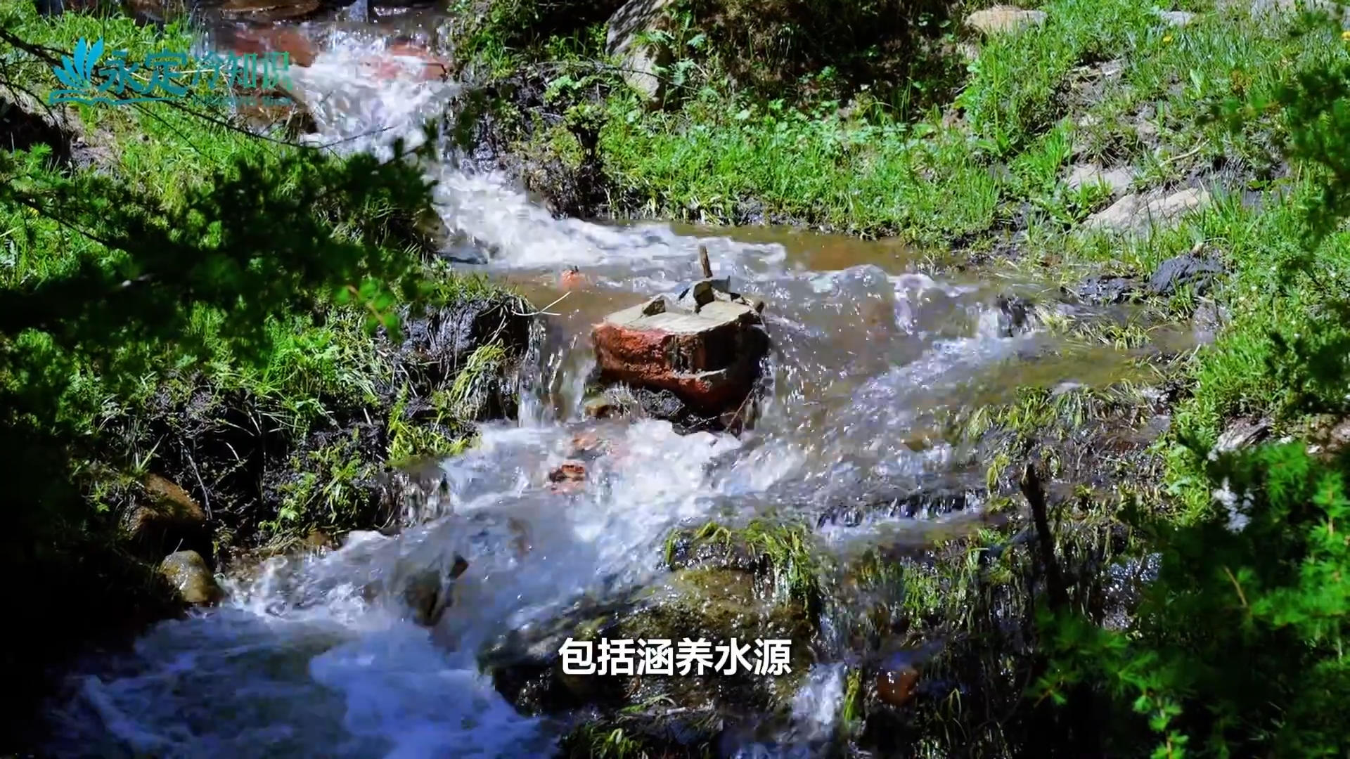 ��ǧ���������齫����2��֪ʶ����ľɽ��ÿһ��ˮ�������齫����2